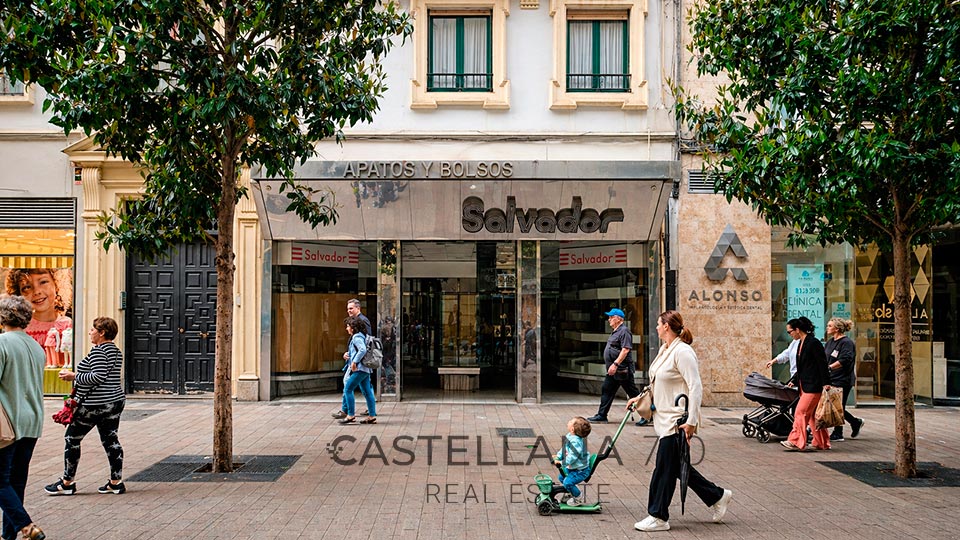 Cruz Conde 17 - Castellana Real Estate