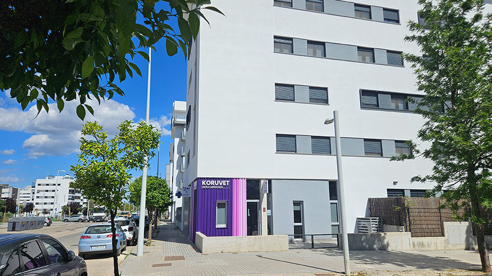 Koruvet centro veterinario - Catellana