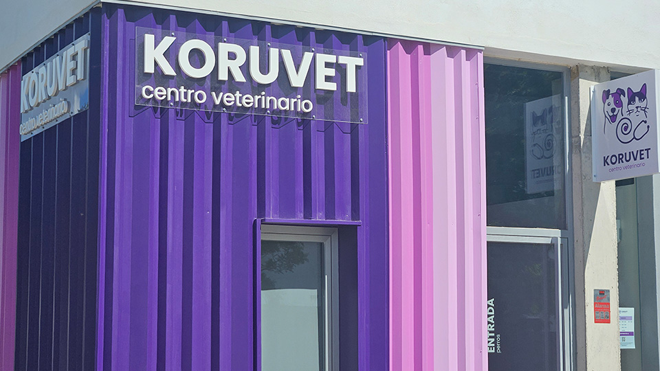 Koruvet centro veterinario - Catellana